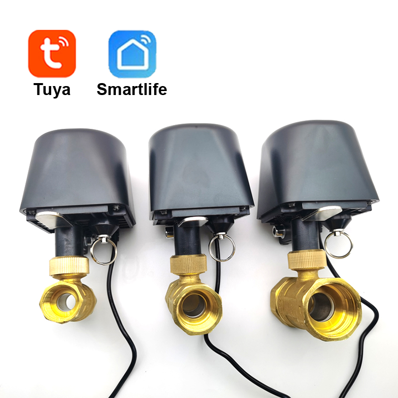 Smart Home Google Assistant - Tuya wifi ou zigbee válvula de