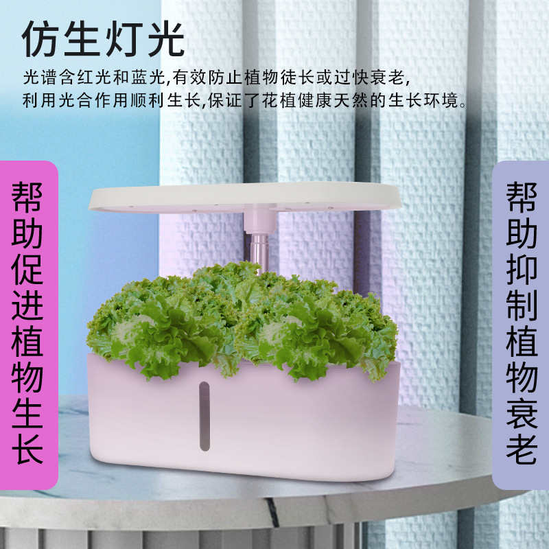 Sistema de Cultivo Hidropônico - Smart Home In Us avaliação e preço